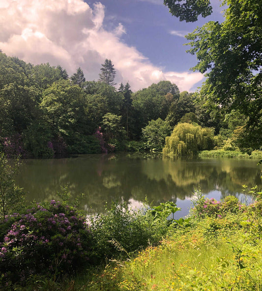 June Newsletter